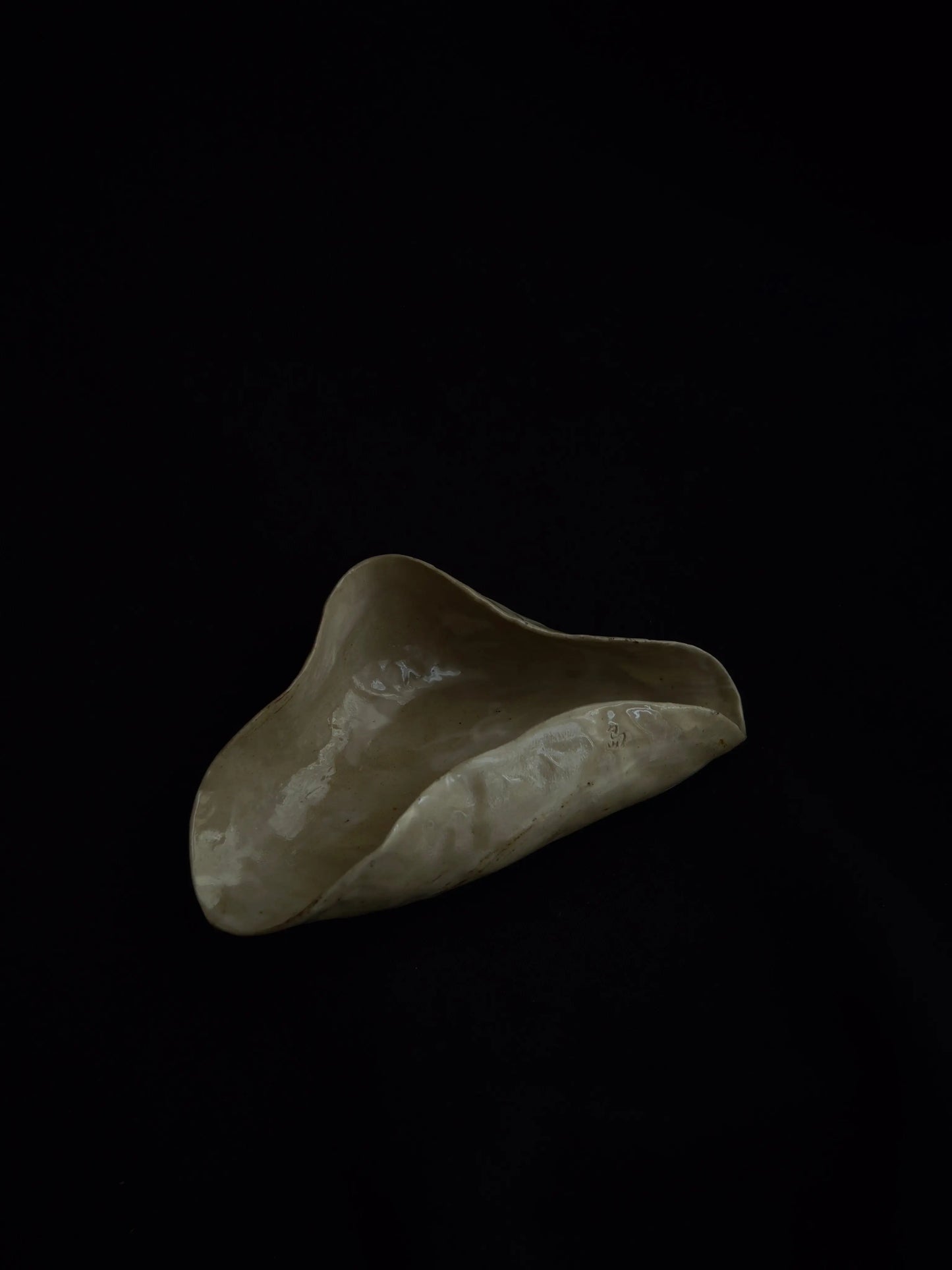 Tray 002 isleware