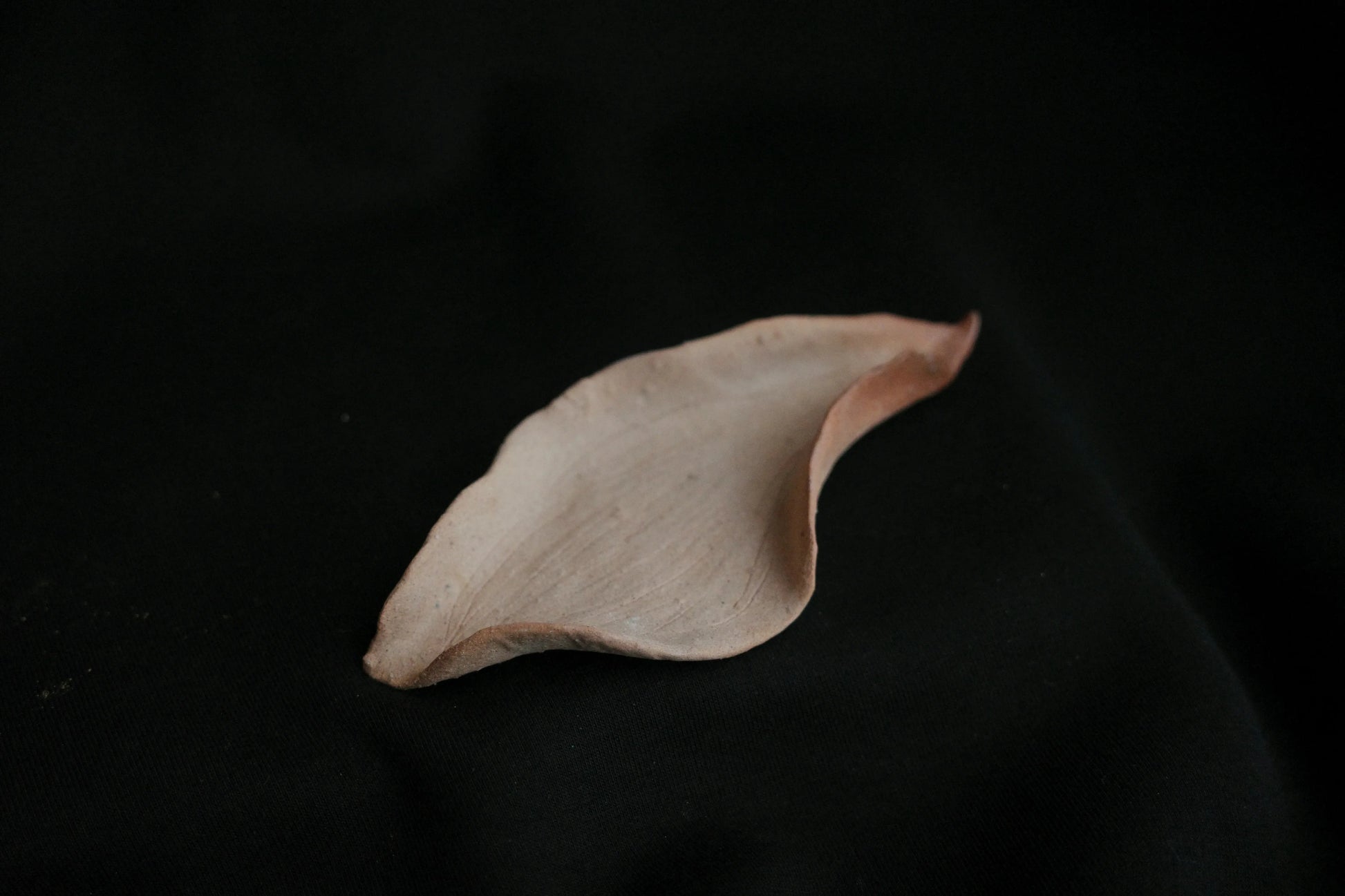 Handcrafted ceramic dish with organic, leaf-like form on black background